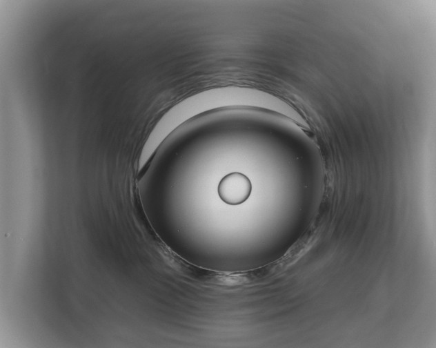 X0000113020333200909031236