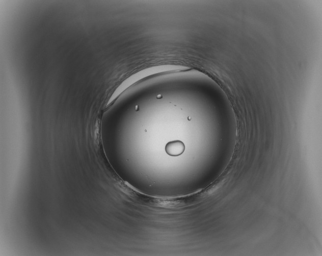 X0000113020336200909031236