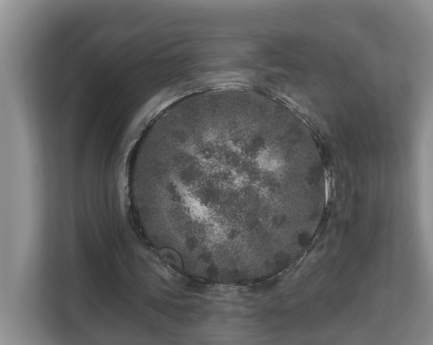 X0000113020339200909031236
