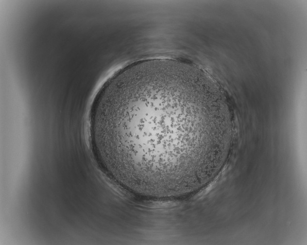 X0000113020342200909031236