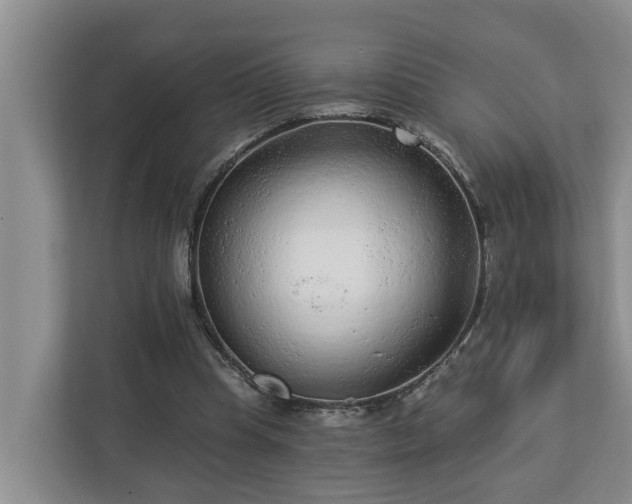 X0000113020345200909031236