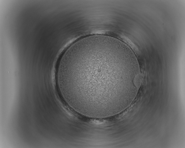 X0000113020346200909031236