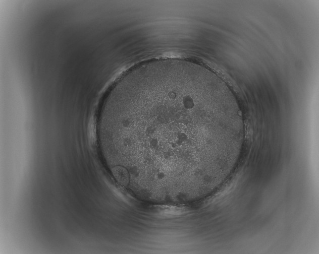X0000113020347200909031236