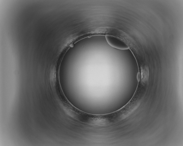 X0000113020348200909031236