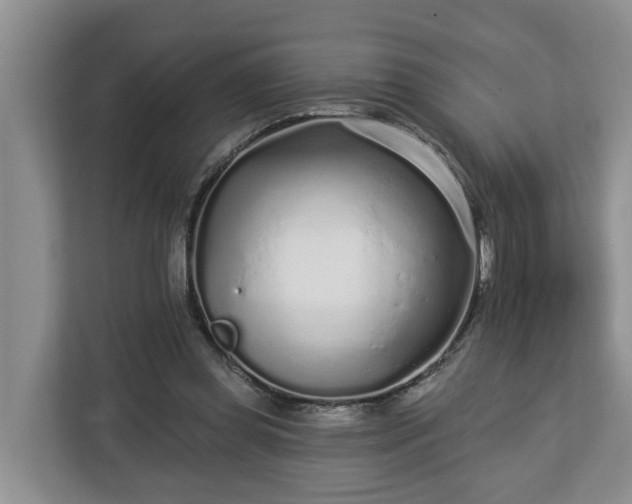 X0000113020349200909031236