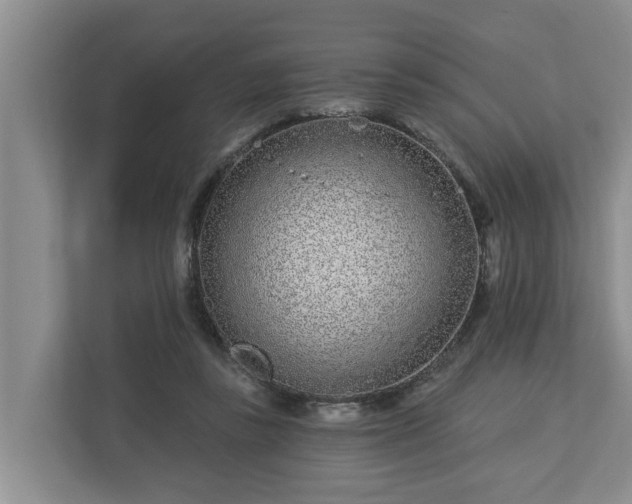 X0000113020355200909031236