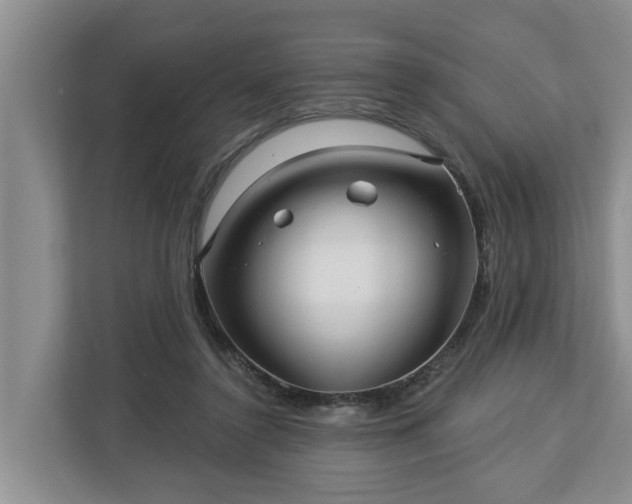 X0000113020356200909031236