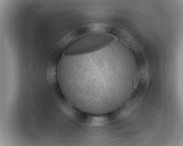 X0000113020360200909031236