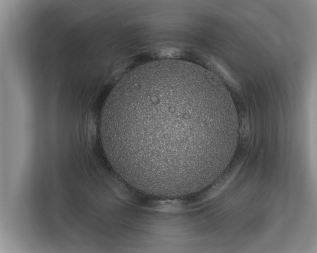 X0000113020363200909031236
