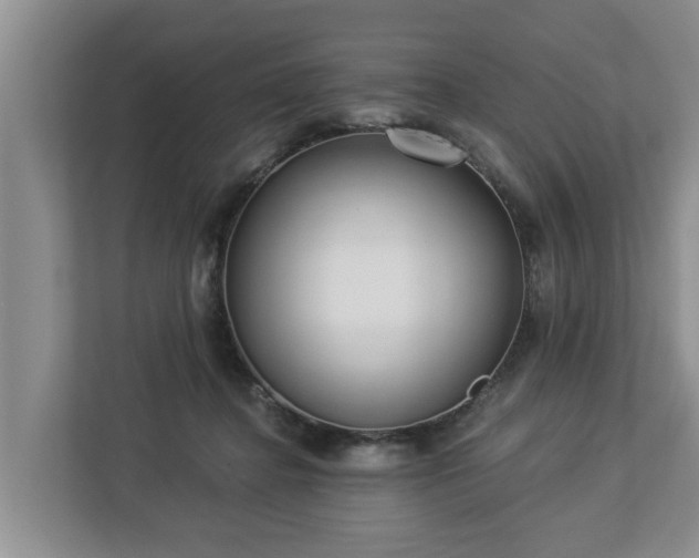 X0000113020364200909031236