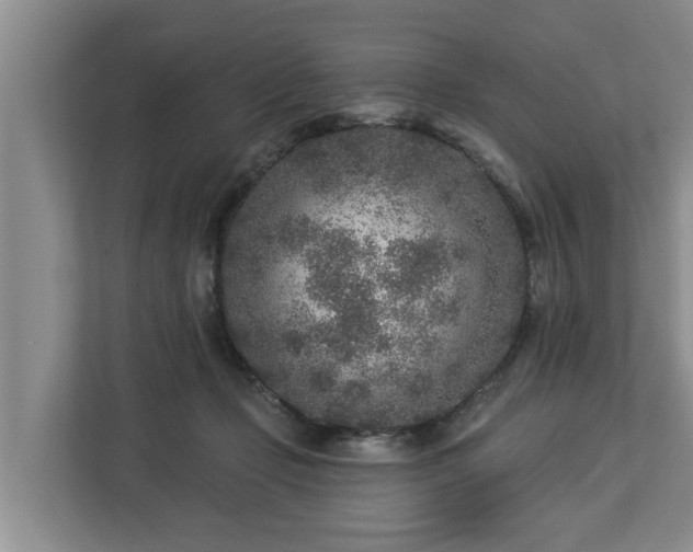 X0000113020365200909031236