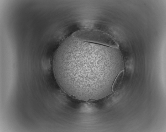 X0000113020372200909031236