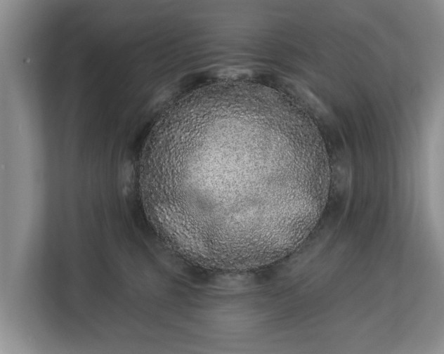 X0000113020375200909031236