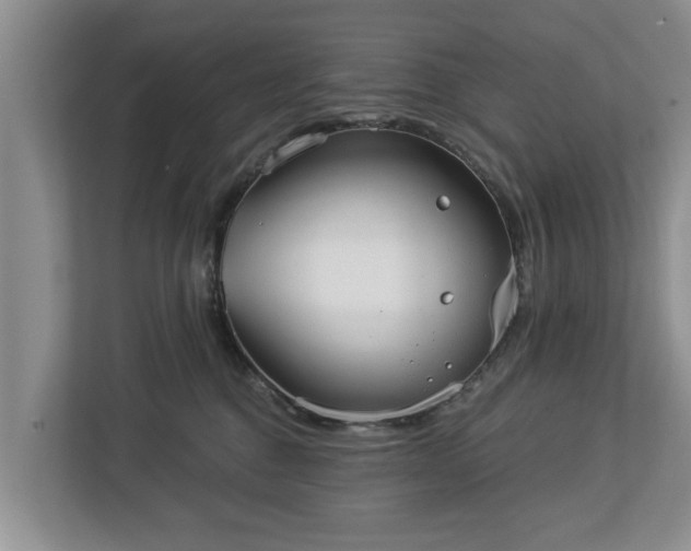 X0000113020376200909031236