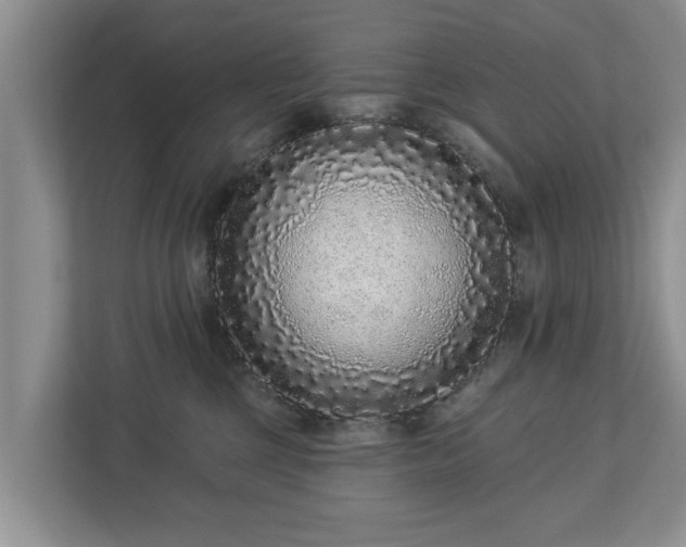 X0000113020377200909031236