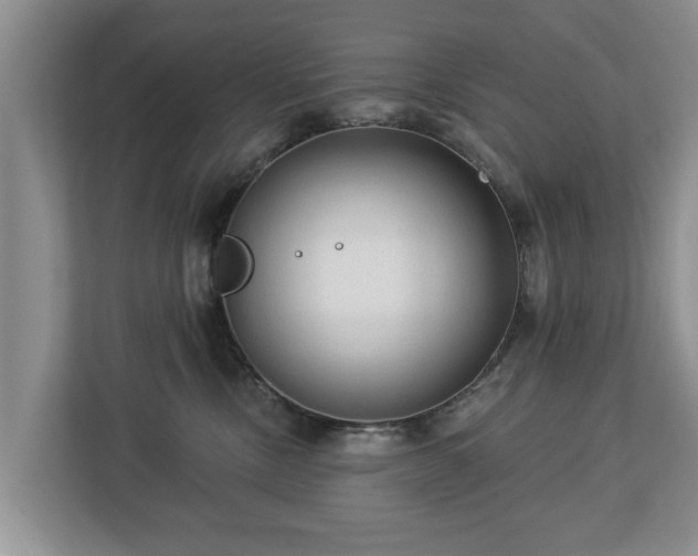 X0000113020378200909031236
