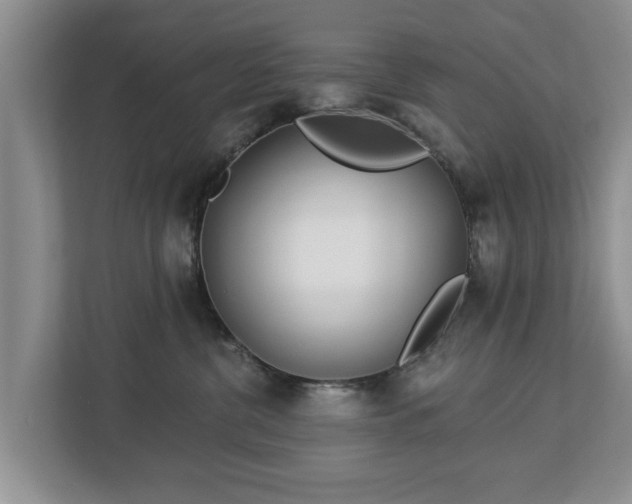 X0000113020380200909031236