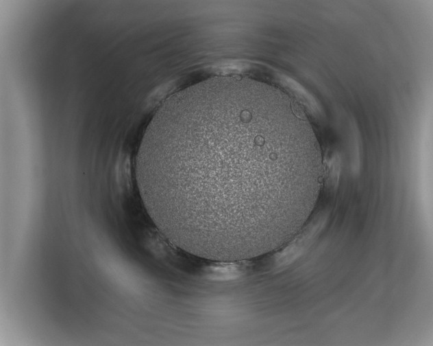 X0000113020381200909031236