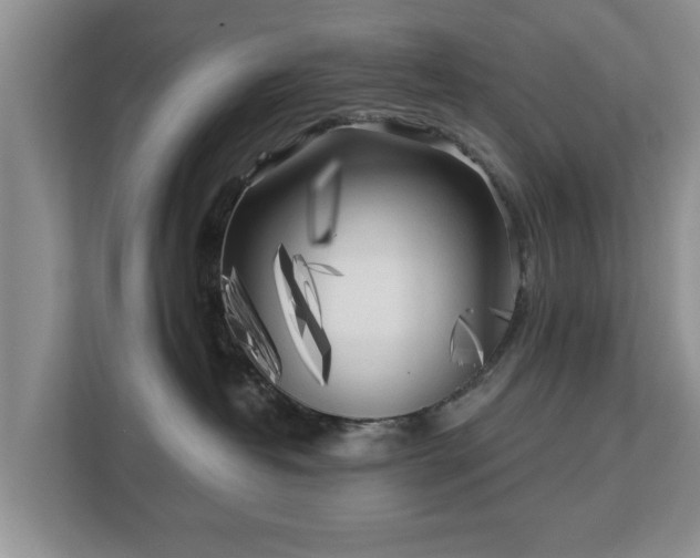 X0000113020382200909031236