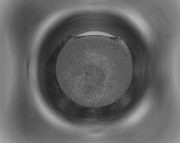 X0000113020383200909031236