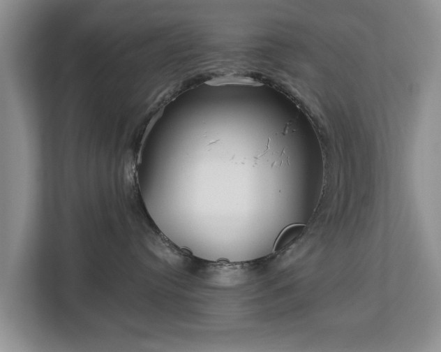 X0000113020384200909031236