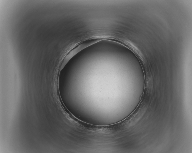 X0000113020385200909031236