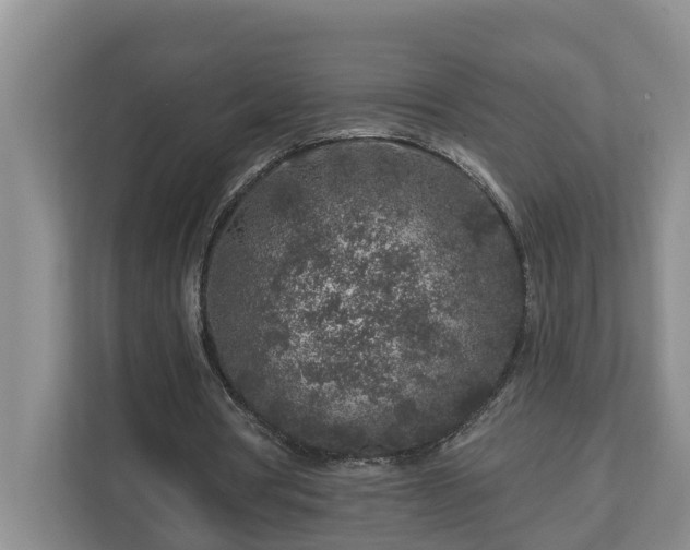 X0000113020386200909031236
