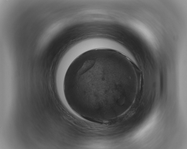 X0000113020387200909031236