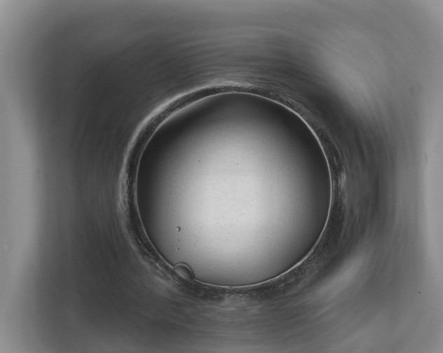 X0000113020388200909031236