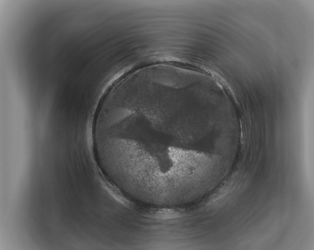 X0000113020390200909031236
