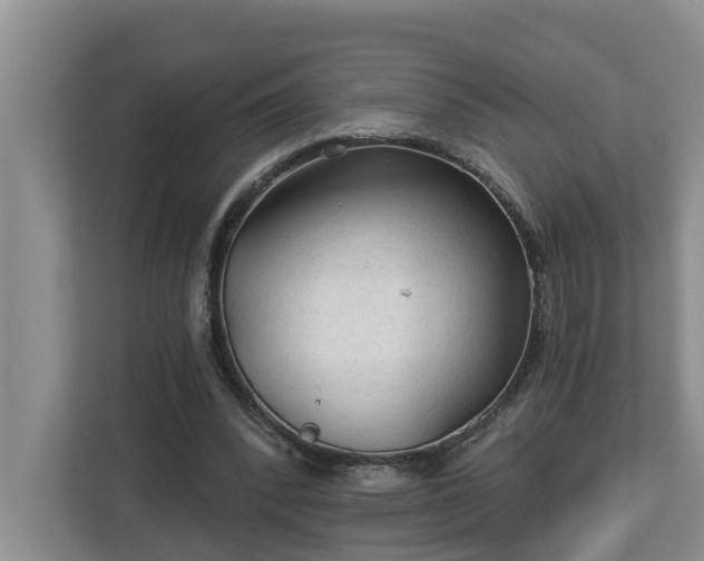 X0000113020392200909031236