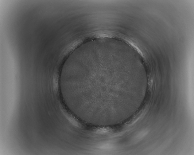 X0000113020402200909031236