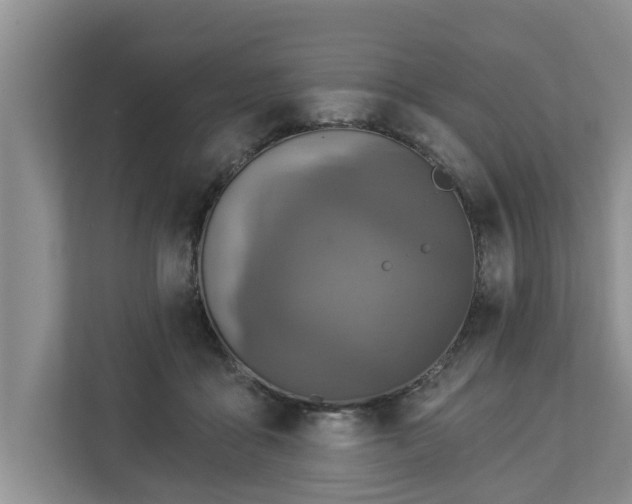 X0000113020411200909031235