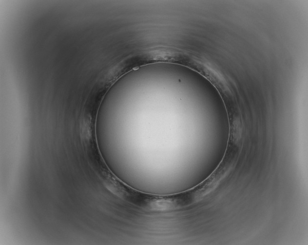 X0000113020413200909031235