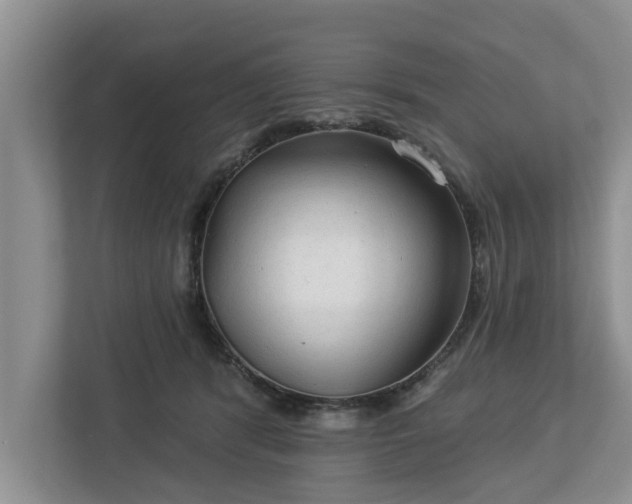 X0000113020416200909031235