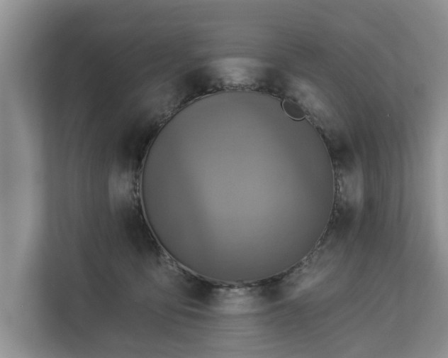 X0000113020419200909031235