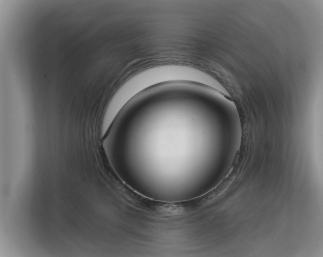 X0000113020421200909031235