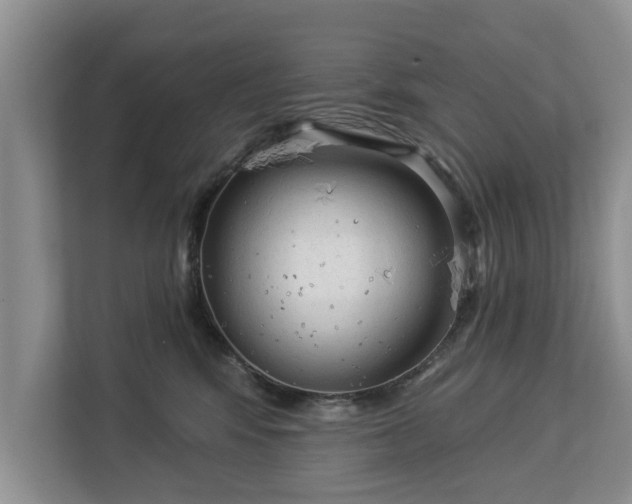 X0000113020424200909031235