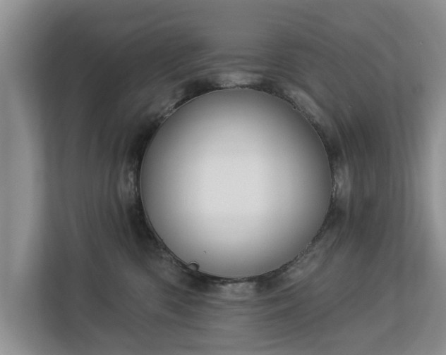 X0000113020426200909031235