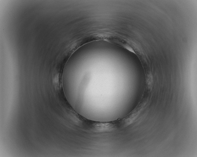 X0000113020428200909031235