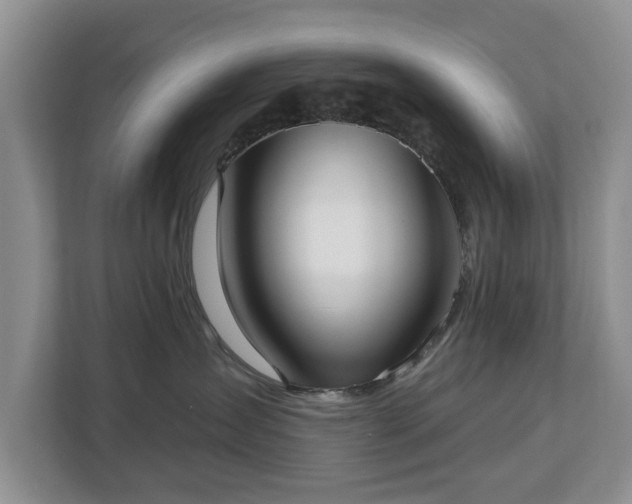 X0000113020431200909031235