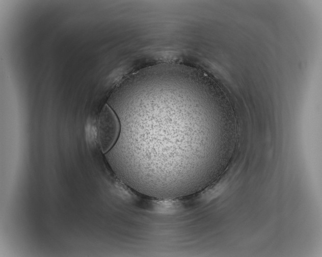 X0000113020432200909031235