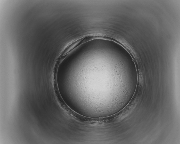 X0000113020434200909031235