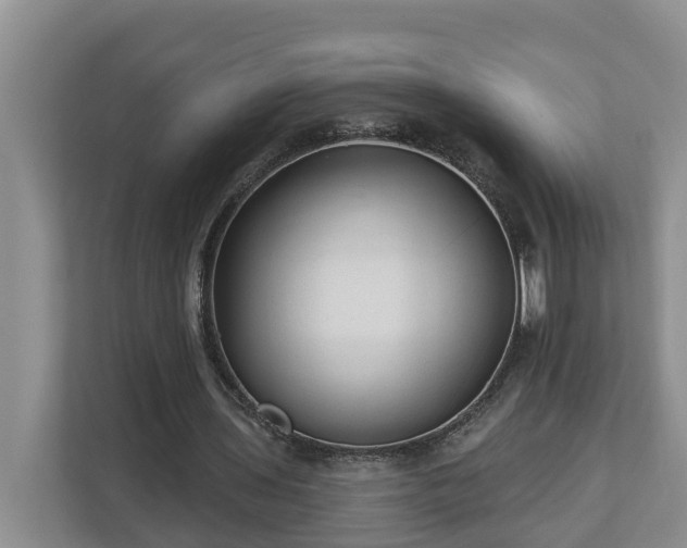X0000113020435200909031235
