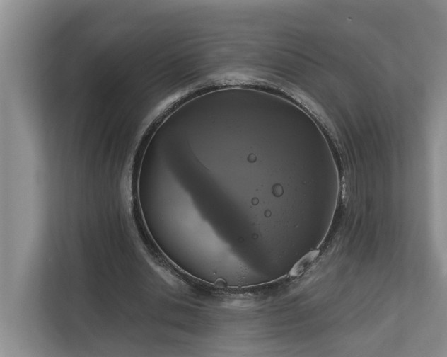 X0000113020438200909031235