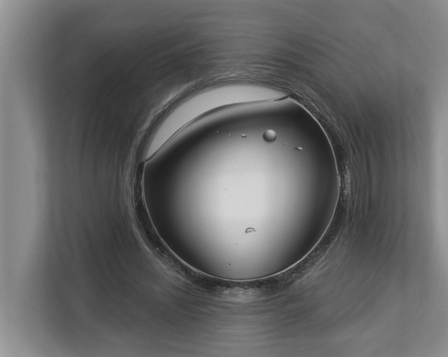 X0000113020444200909031235