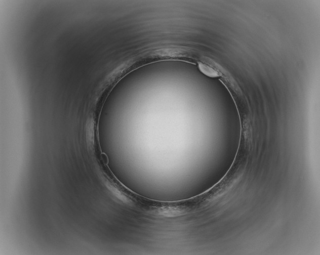 X0000113020445200909031235