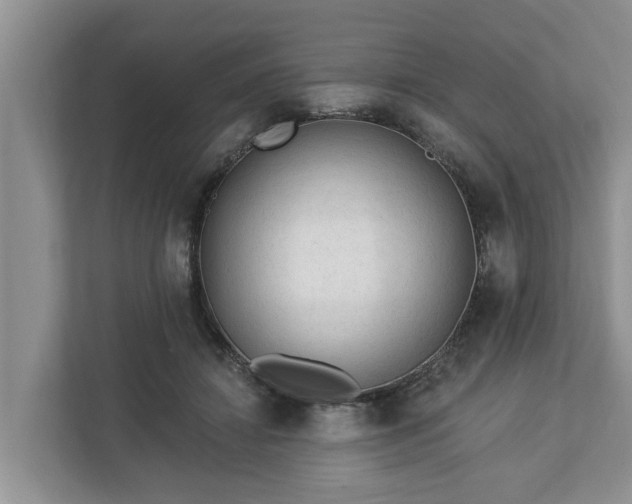 X0000113020452200909031235
