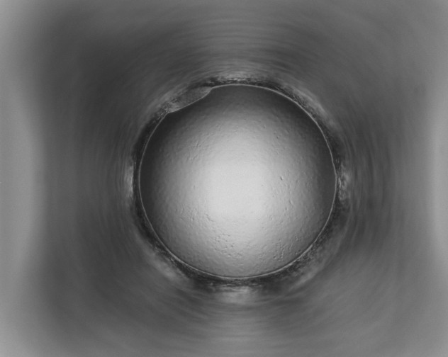 X0000113020454200909031235