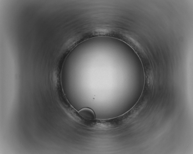X0000113020455200909031235